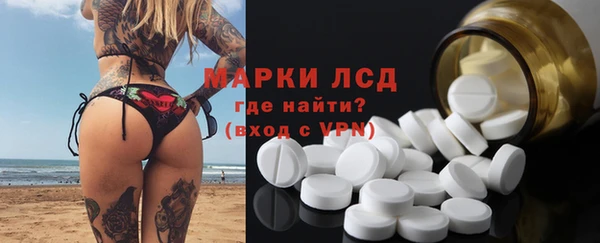 стаф Абинск