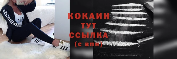 стаф Абинск