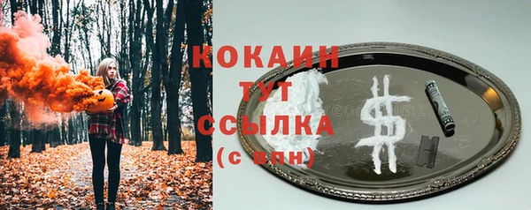 стаф Абинск