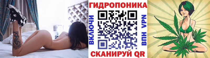 как найти   Дербент  Конопля LSD WEED 